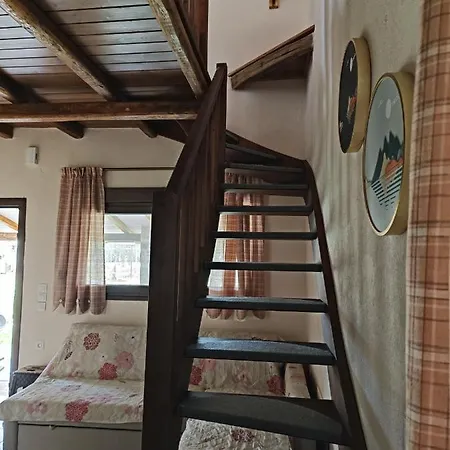 The House דירה