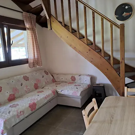 The House *