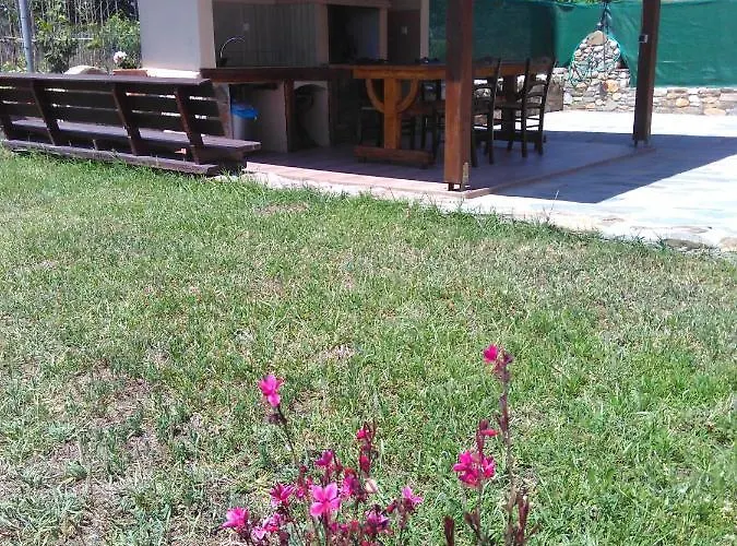 The House *